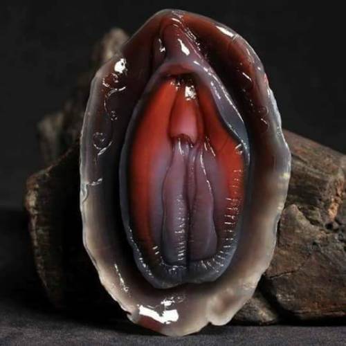 witchnexxx69:Who knows the exact name of this shellfish?