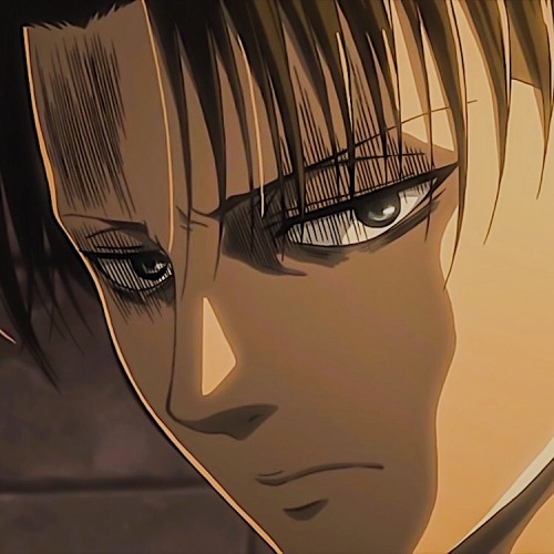 Levi Ackerman Icons