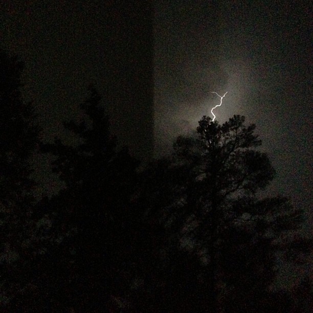 bigbaldhead:  georgia storm