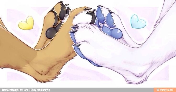 Furry paw fetish - Best adult videos and photos