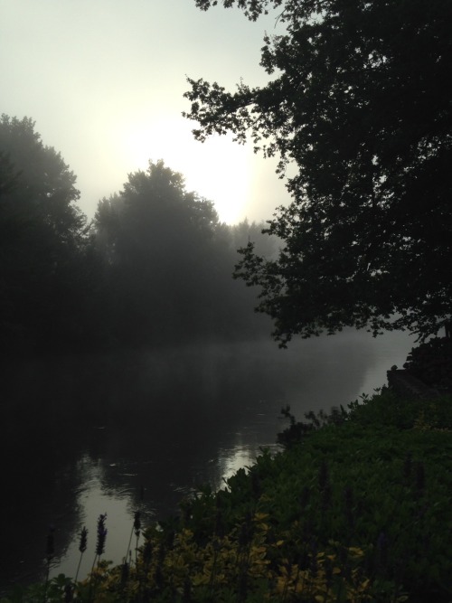 Morning Mist, La Londe, France.