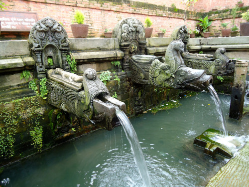 arjuna-vallabha:  Nepali fountain, Patan