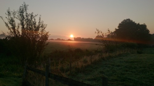 Sunrise in Burghclere porn pictures