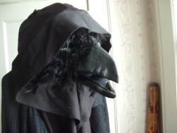 torn-by-dreams:I put my crow costume in the window to freak out the neighbors. The only problem is, now I’m uncomfortable.