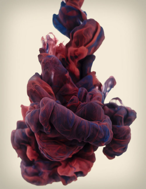 lovelylittlebear:High-Speed photographs of ink dropped into water.