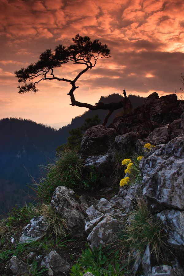 Sokolica, Poland
