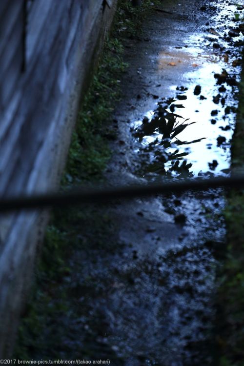 ‘21.10.30 東大寺二月堂、戒壇堂、大仏池付近、鐘楼にておぢさんズの小さい秋見つけるツアー2021、そろそろラストです。二月堂の後缶コーヒー休憩を挟んで、静かな戒壇堂～大仏池付近を散