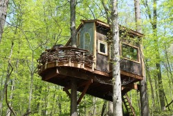 utwo:  Trillium Treehouse © airbnb 