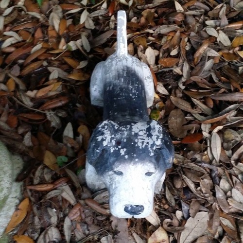 This is a fake dog we have in our backyard. Blue Cheeze sniffed it’s bottom!
Life at the #thatchpatch, there is rarely a dull moment.
(at One Thatch Patch)