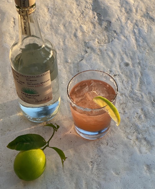 tahitian-waves:  tonight’s drink: kombucha margarita 