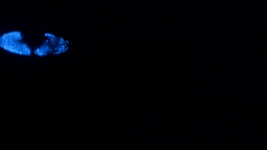 claygoblin:  Dinoflagellates   Attenborough’s Life That Glows, BBC   