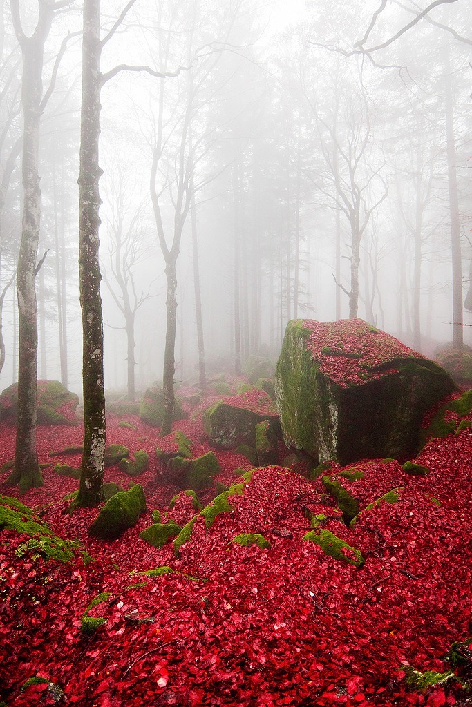 justmyfavthings:  Places Just as Mysterious as the Bermuda Triangle 