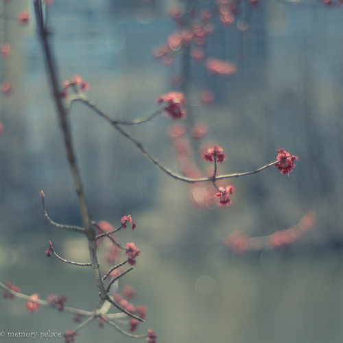 A Light Exists In SpringNot Present On The YearAt Any Other Period ...