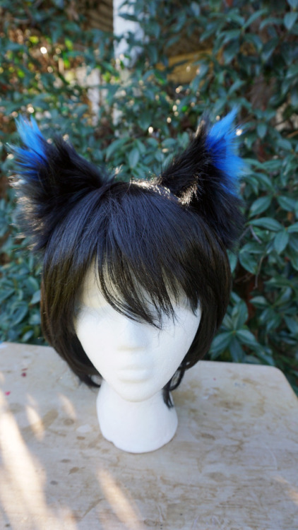  Cat/Fox Headband Ears Another black set with cobalt tips! Love how the shape turned out :DSee somet