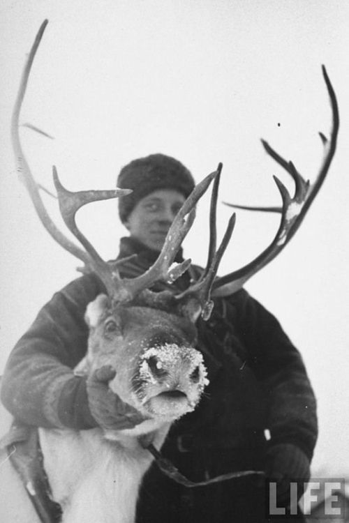 Finnish soldier with reindeer, Winter War, 1939-1940.