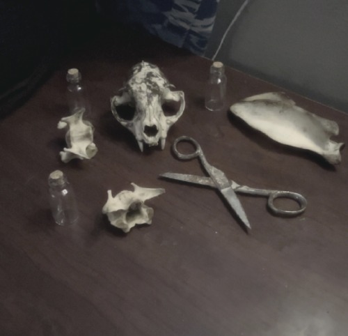 My Bones :3