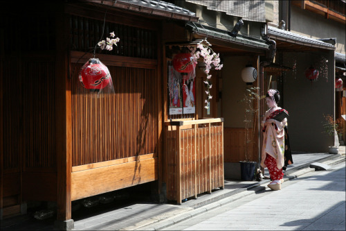 Japanese traditional houses 