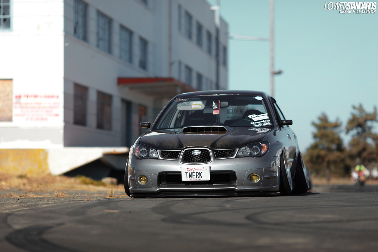 lowerstandards:  PureVIP x LowerStandards 