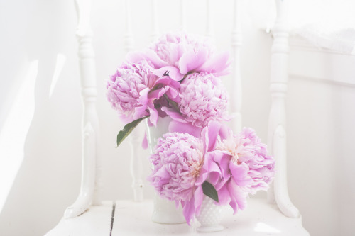 Welcome to my Blog