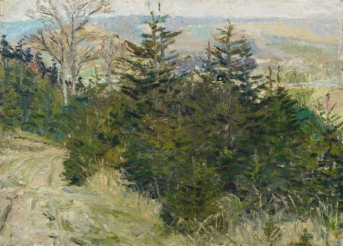 Pine Forest (Autumn Landscape)  -   Otto Dix  c.1910German  1891-1969Oil on canvas. mounted on fibre