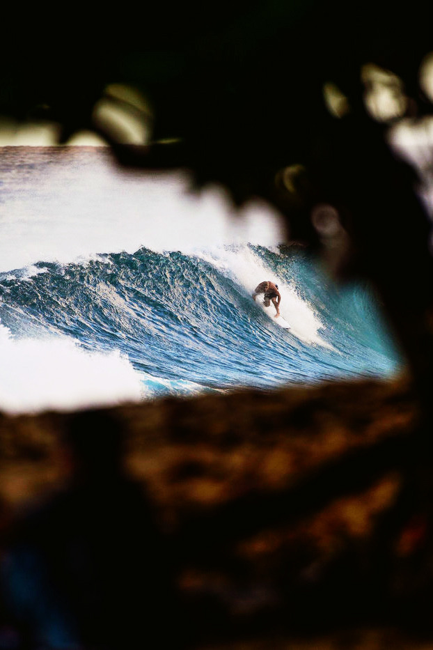 highenoughtoseethesea:  Fanno. Photo: Trevor Moran 