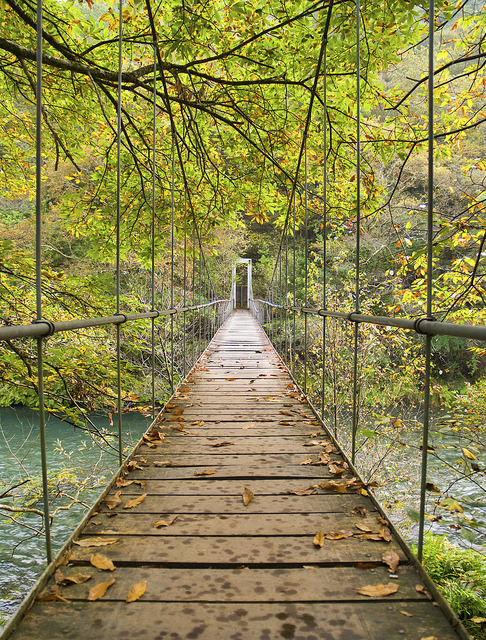 Bridge in Parque Nacional Fragas del Eume, Galicia, Spain (by RTH FOTOS).