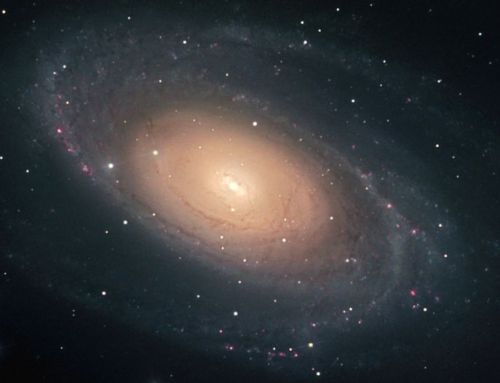 gravitationalbeauty:  Bright Galaxy M81  