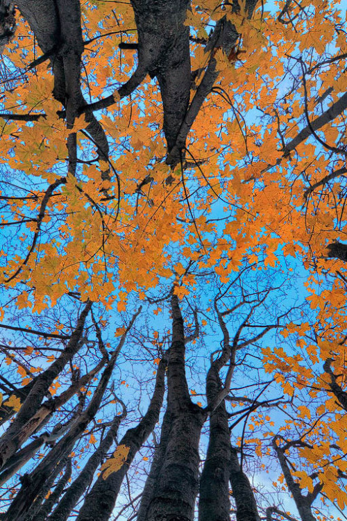 ponderation:  Blue Fall by Paolo De Faveri