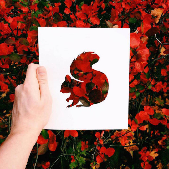 taichi-kungfu-online:  Art is from life! 