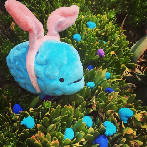 The Easter Brainy is hiding brains for the big hunt!
