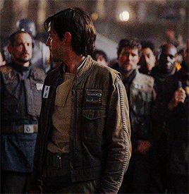 nadinefrazer: cassian andor + a jacket for every occasion bonus vest:  Oh good, this is back on my T
