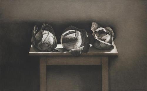 Three Cabbages   -    William Delafield Cook ,  1977Australian,b.1936-2015charcoal and brown pastel 