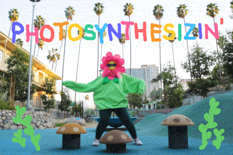 popbotany:[Source 1] [Source 2]