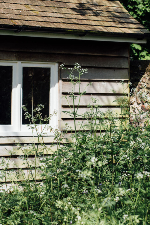 barcarole:  [Inside Monk’s House, East Sussex.]