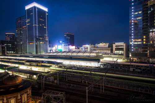 Sinkansen leaving, local train arriving, Tokyo - 東京駅