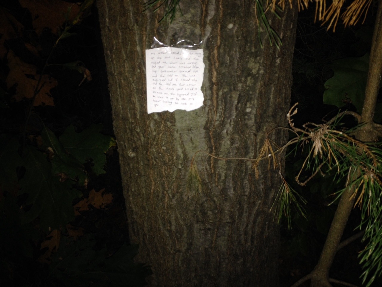 extrasad:  Sad poems in public my mother found me spitting  up my own tears and