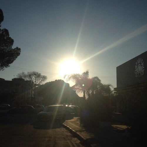 My walk home from school yesterday! So pretty ☀️#ilivehere #beautiful #cyprus #palmtree #sunnydays #