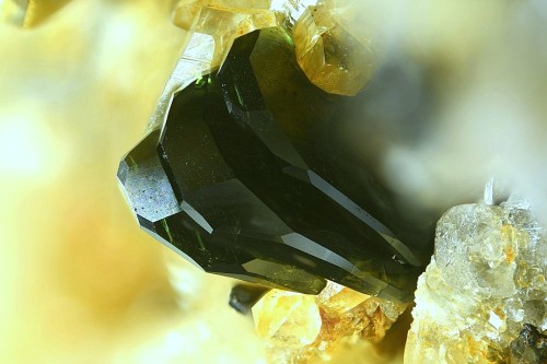 underthescopemin:  Kulanite Photo Copyright © Stephan Wolfsried
