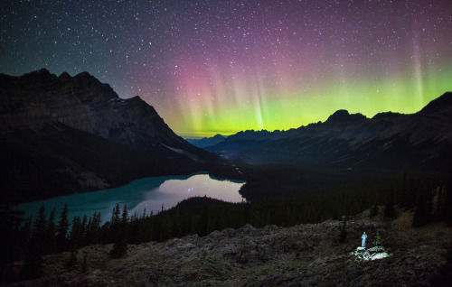 nubbsgalore:  self portratis by paul zizka in banff national park