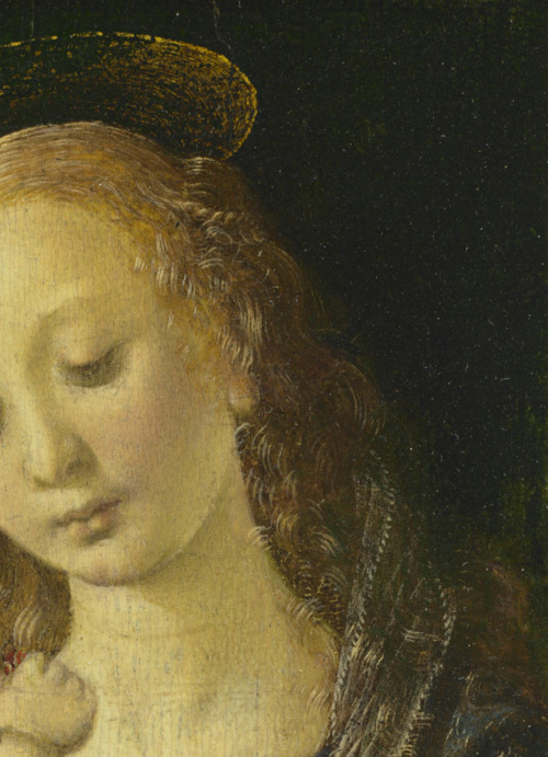 Workshop of Verrocchio (maybe Leonardo da Vinci and/or Lorenzo di Credi), Madonna Dreyfus, 1470-72