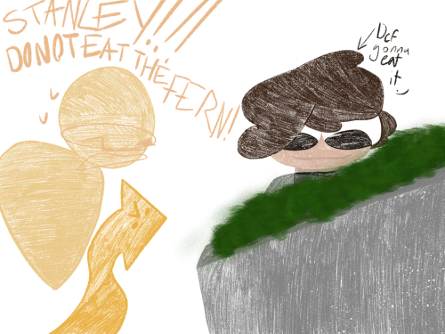 MORE STANLEY!!!