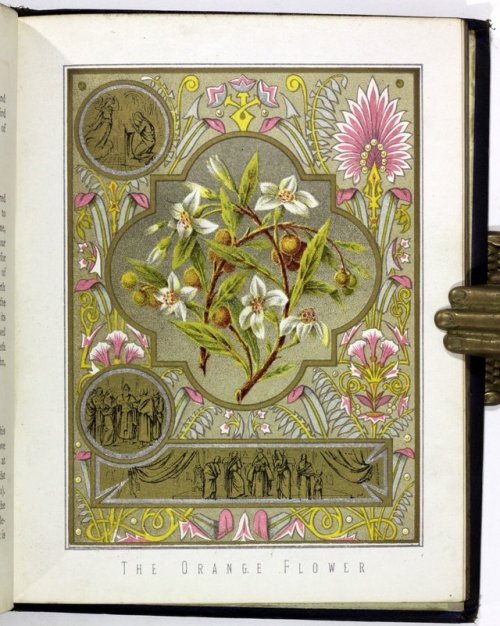 michaelmoonsbookshop:The Mystical Flora of St Francis de SalesDublin 1877[Sold]