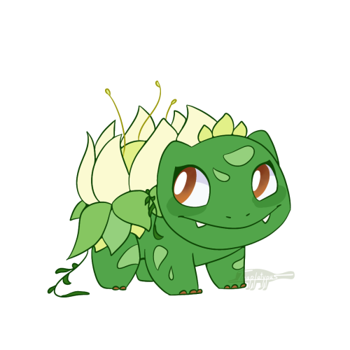 Tia the buldbasaur. She loves things related to food like helping in the kitchen, going grocery shop