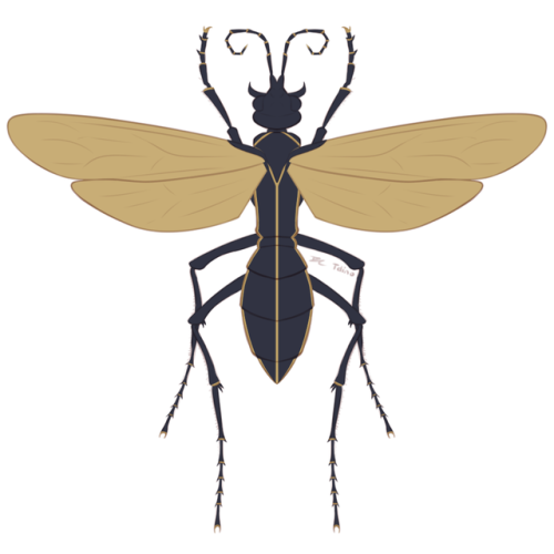 tdino:  Theron’s Beast Within: Running: Cat Within (Turkish Angora) Flight: Raven Within (Corvus corax corax)   Swimming: Shark Within (Lamna nasus) Evasion: Tarantula Hawk Within (Pepsis grossa)   Notes:  Keep reading