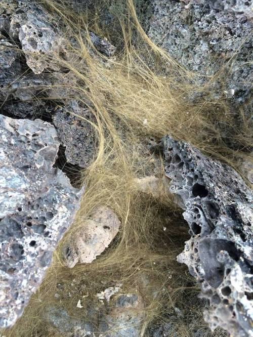 Pele’s hairWhen you first look at the pictures below, perhaps you might think about straw or hair, b