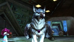 griffonhatchling: I LOVE THIS GRIFFON SO MUCH