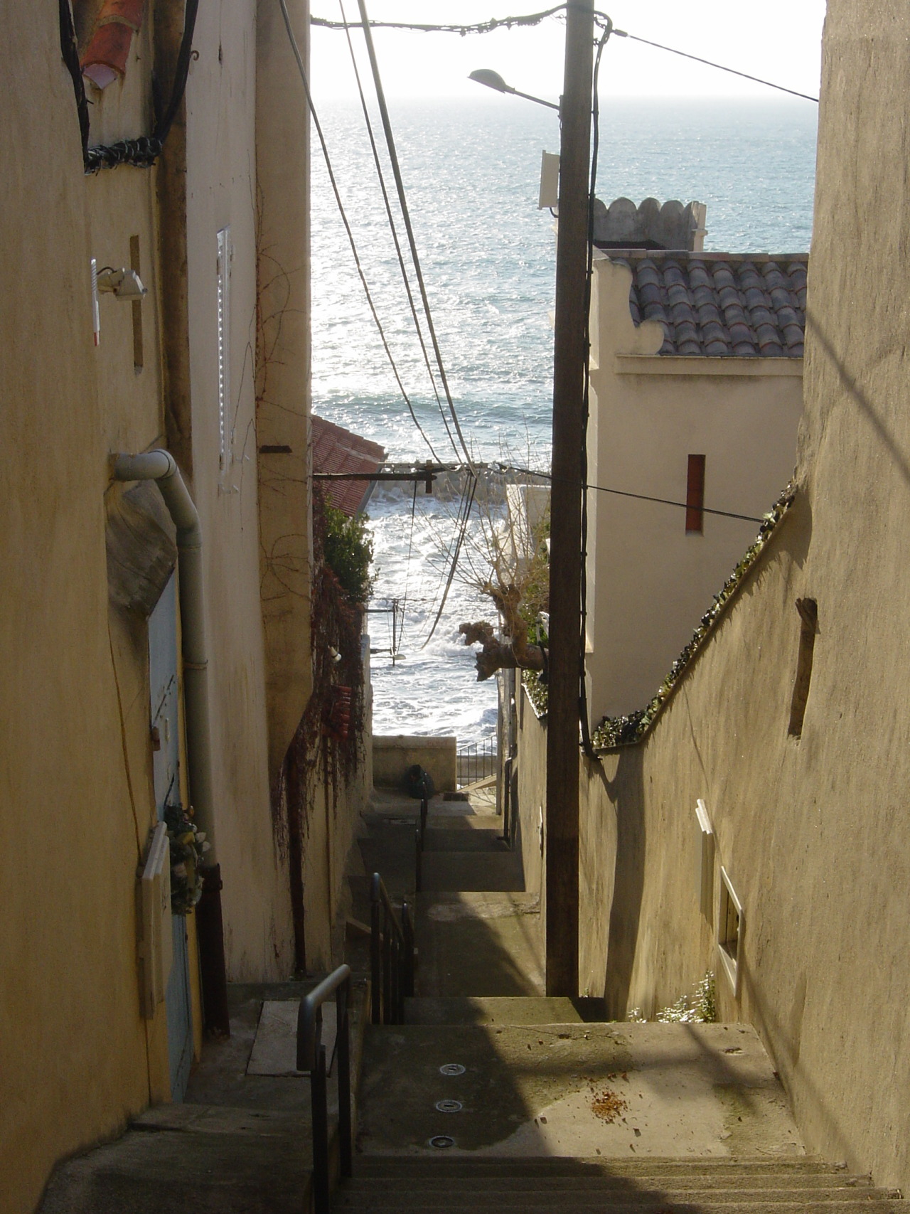 Je reprends mon projet de présenter la plupart de mes 52461 photos (oui, ça a encore augmenté !).2004. Marseille. Balade dans les ruelles escarpées du Roucas-Blanc, au dessus de la Corniche Kennedy (à l’époque, mes genoux me le permettaient), de la plage du Prophète au Vallon de l’Oriol.Et ATTENTION: Chien(s) bizarre !!! #souvenirs#marseille#corniche#corniche kennedy#ruel stroud#escalier#roucas blanc #vallon de loriol  #plage du prophète