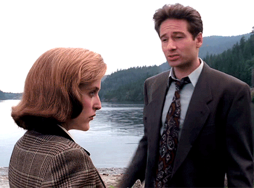 bidoctor:The X Files↳ Season 1: Mulder, I wouldn’t put myself on the line for anybody but you.