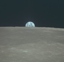 wonders-of-the-cosmos:  Apollo 11 Hasselblad