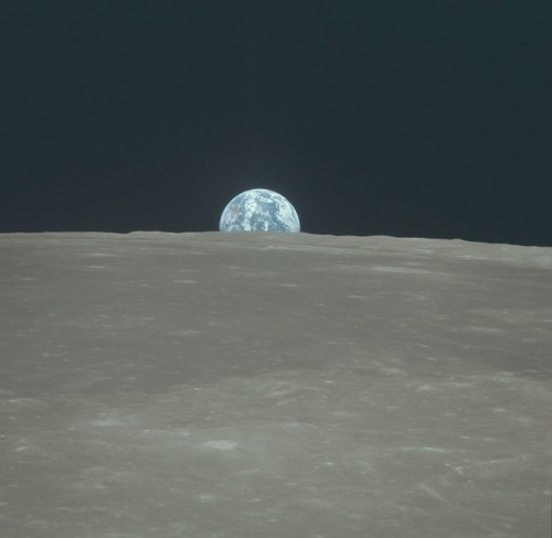 Porn wonders-of-the-cosmos:  Apollo 11 Hasselblad photos